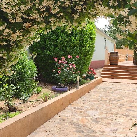 Casa Rural El Tejar Σαν Κλεμέντε Εξωτερικό φωτογραφία
