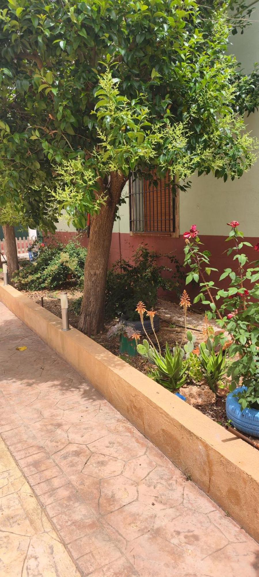 Casa Rural El Tejar Σαν Κλεμέντε Εξωτερικό φωτογραφία
