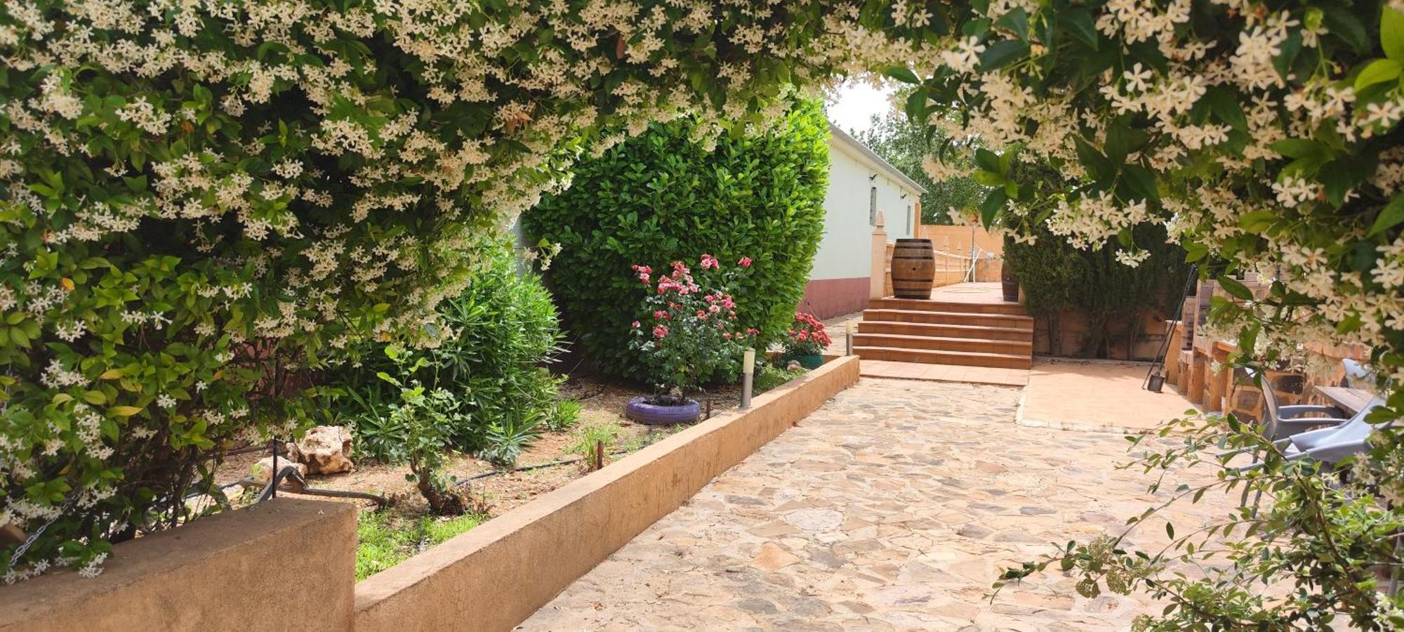 Casa Rural El Tejar Σαν Κλεμέντε Εξωτερικό φωτογραφία