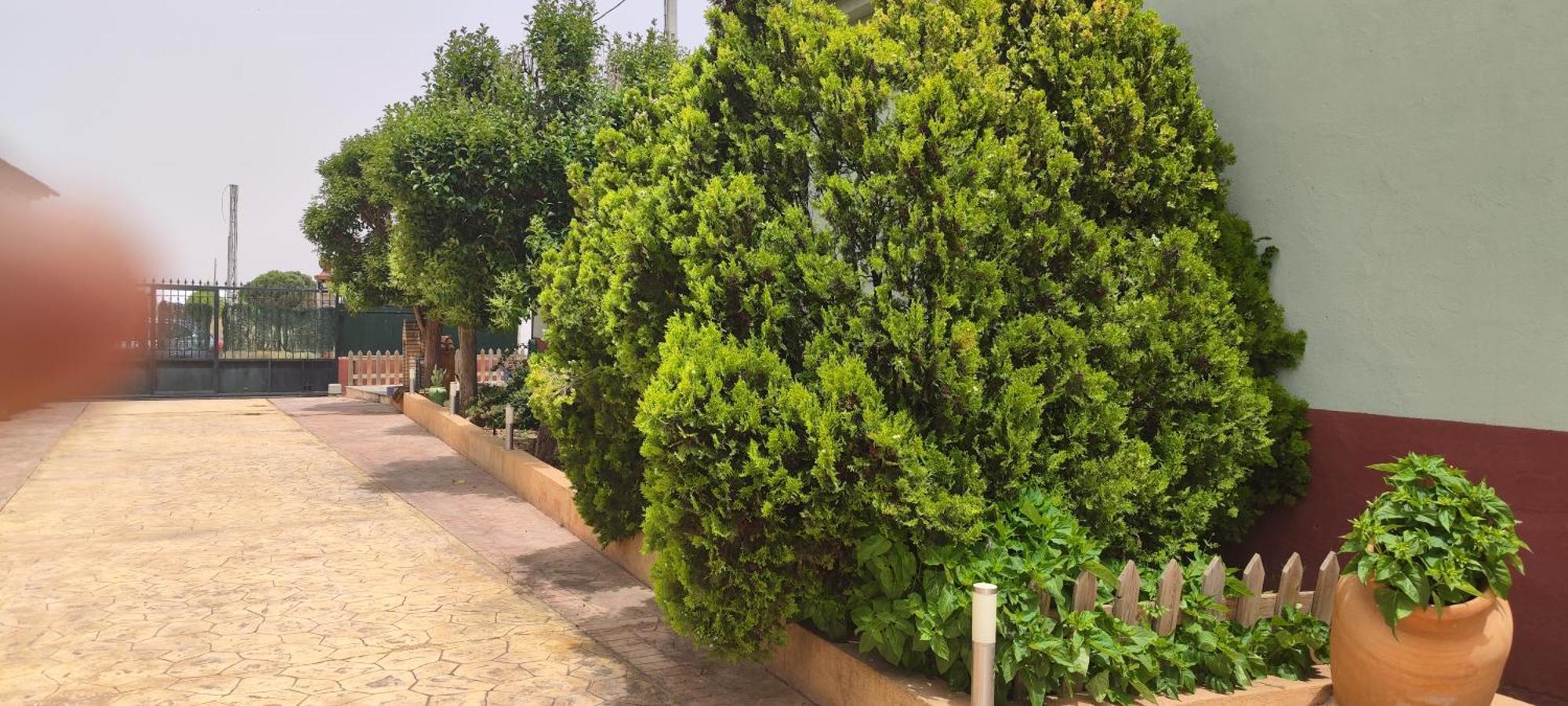 Casa Rural El Tejar Σαν Κλεμέντε Εξωτερικό φωτογραφία