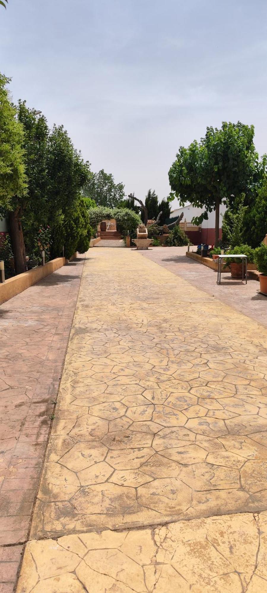 Casa Rural El Tejar Σαν Κλεμέντε Εξωτερικό φωτογραφία